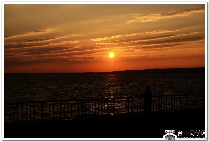 nEO_IMG_DSC_8264.jpg