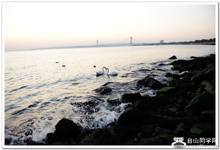nEO_IMG_DSC_7396.jpg