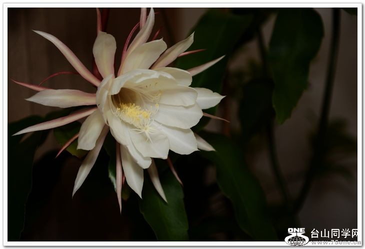 nEO_IMG_DSC_8575.jpg