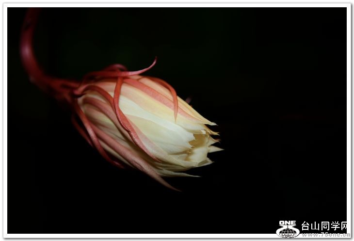 nEO_IMG_DSC_8474.jpg