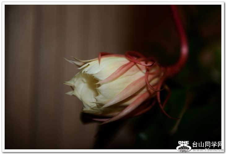nEO_IMG_DSC_8475.jpg
