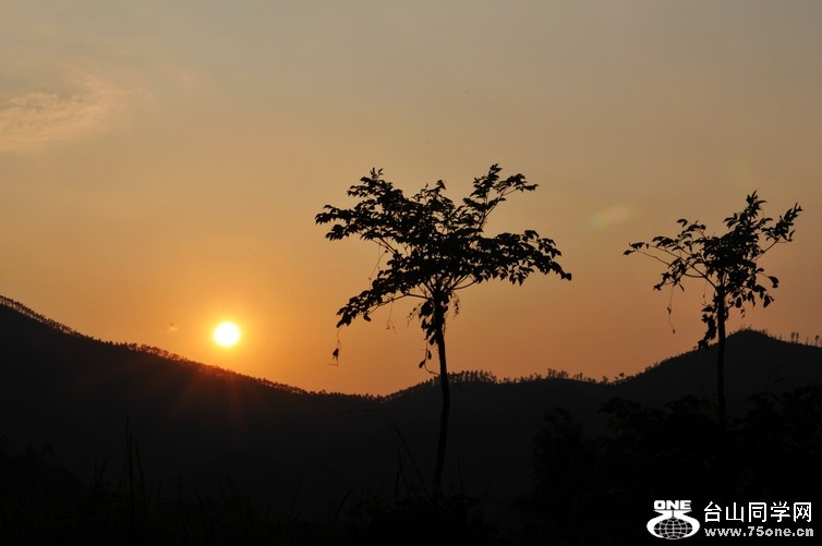 DSC_3346.jpg