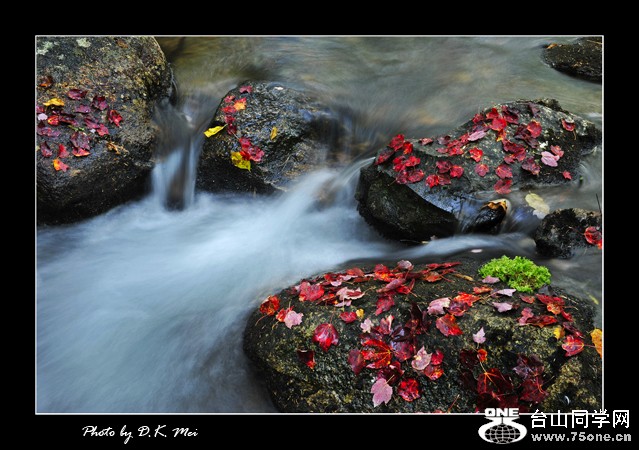 _DSC3555C.jpg