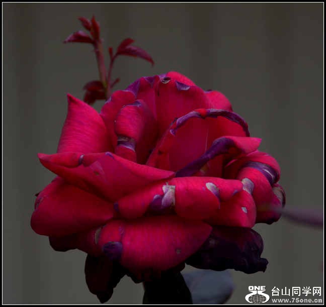 10.17.2012 Fall 222.jpg