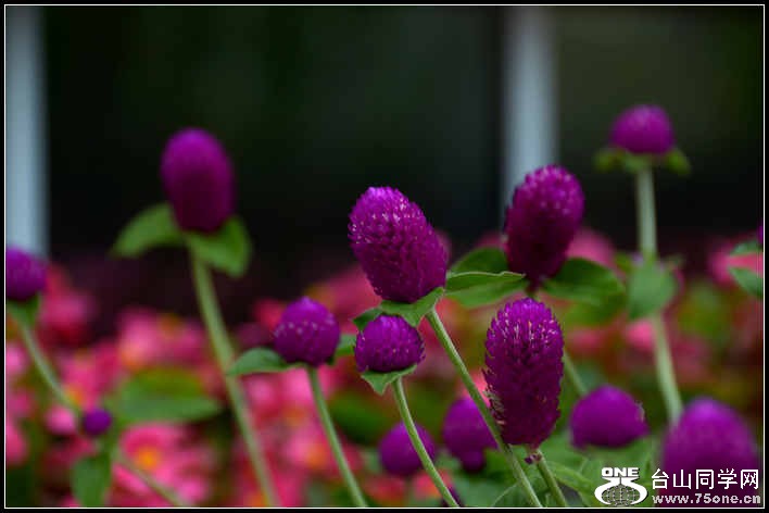 10.17.2012 Fall 253.jpg