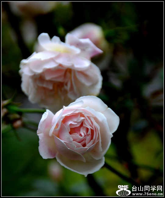 10.17.2012 Fall 429.jpg