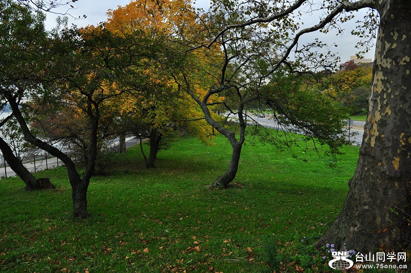 DSC_0863_.jpg