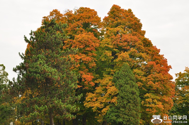 DSC_0688_.jpg