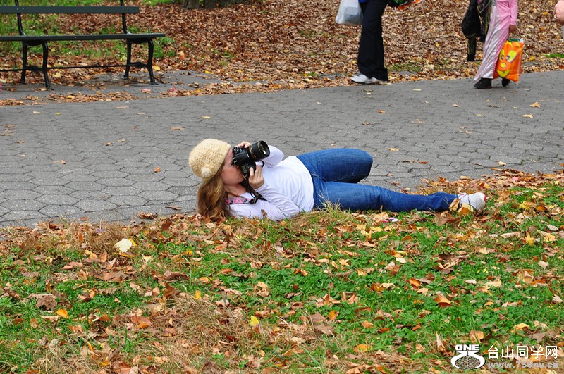 DSC_0949_.jpg