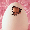 201061011027.gif