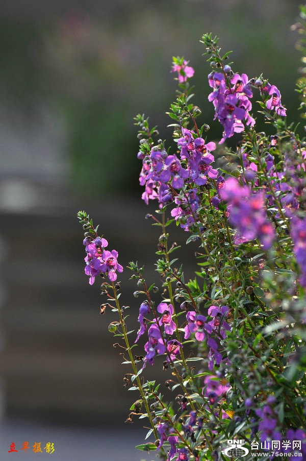 DSC_3032.JPG