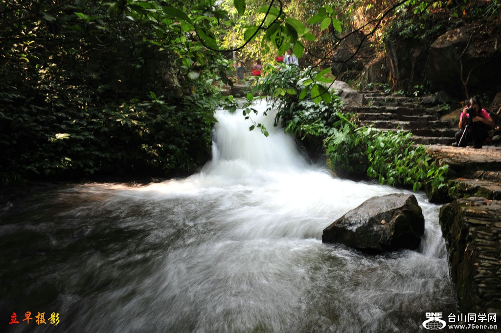 DSC_4316.JPG