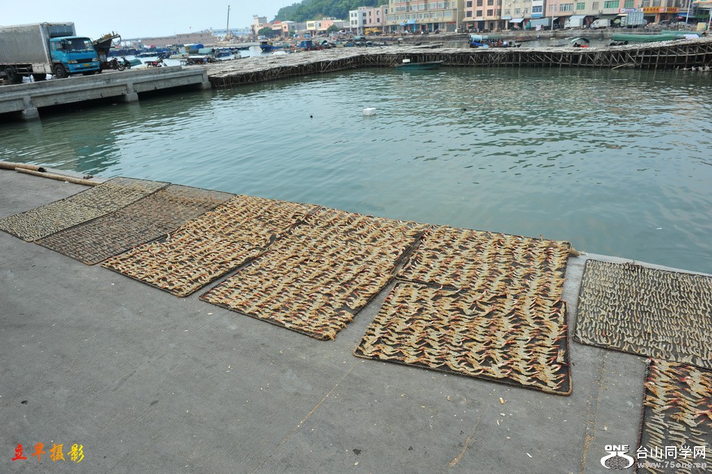 DSC_4171.JPG