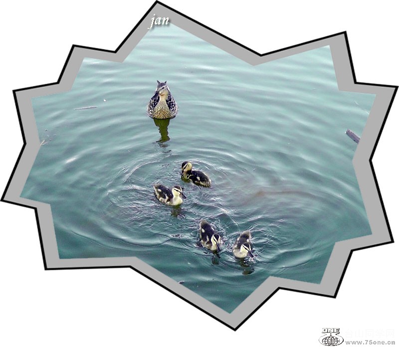H2050162=.jpg