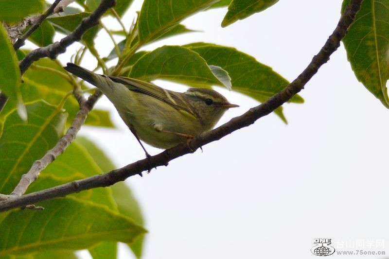 DSC_9799.JPG
