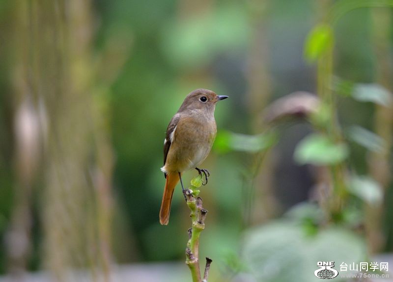 DSC_9722.JPG