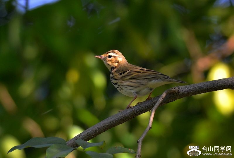 DSC_9153.JPG