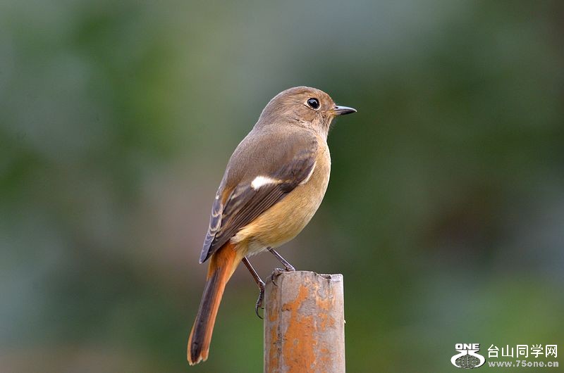 DSC_0054.JPG