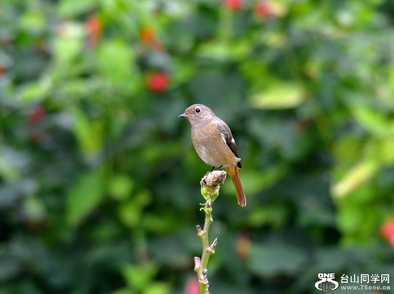 DSC_0260.JPG
