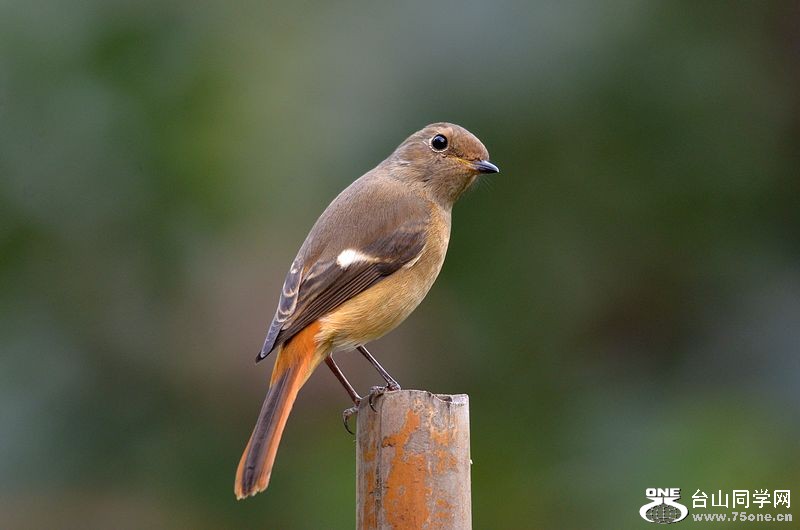 DSC_9926.JPG