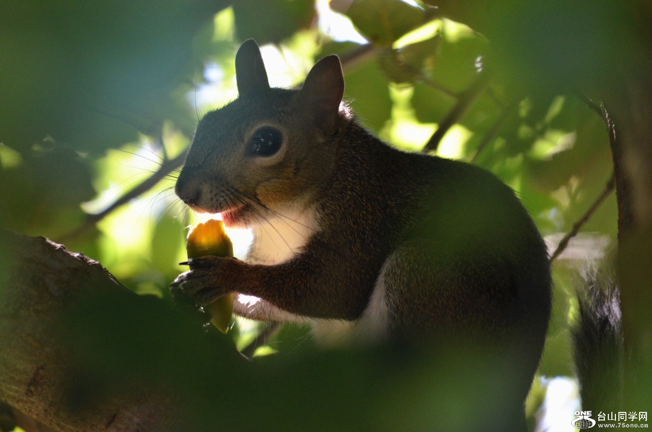 DSC_0139_08.jpg