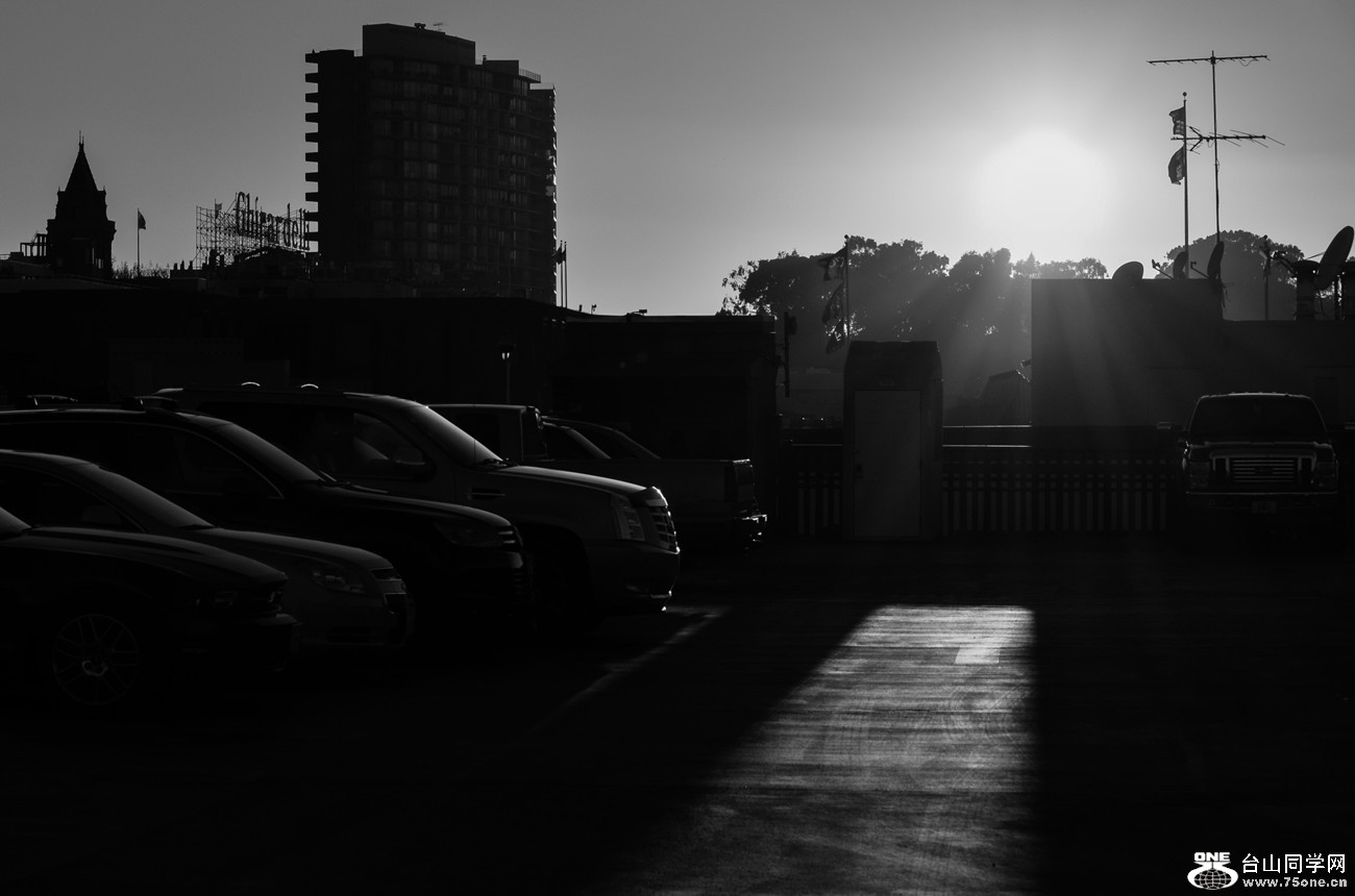 DSC_0502_01.jpg