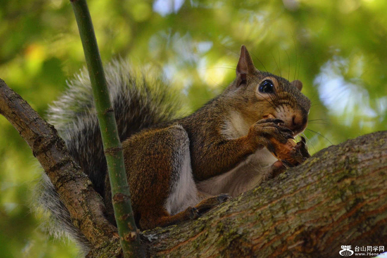 DSC_0232_25.jpg