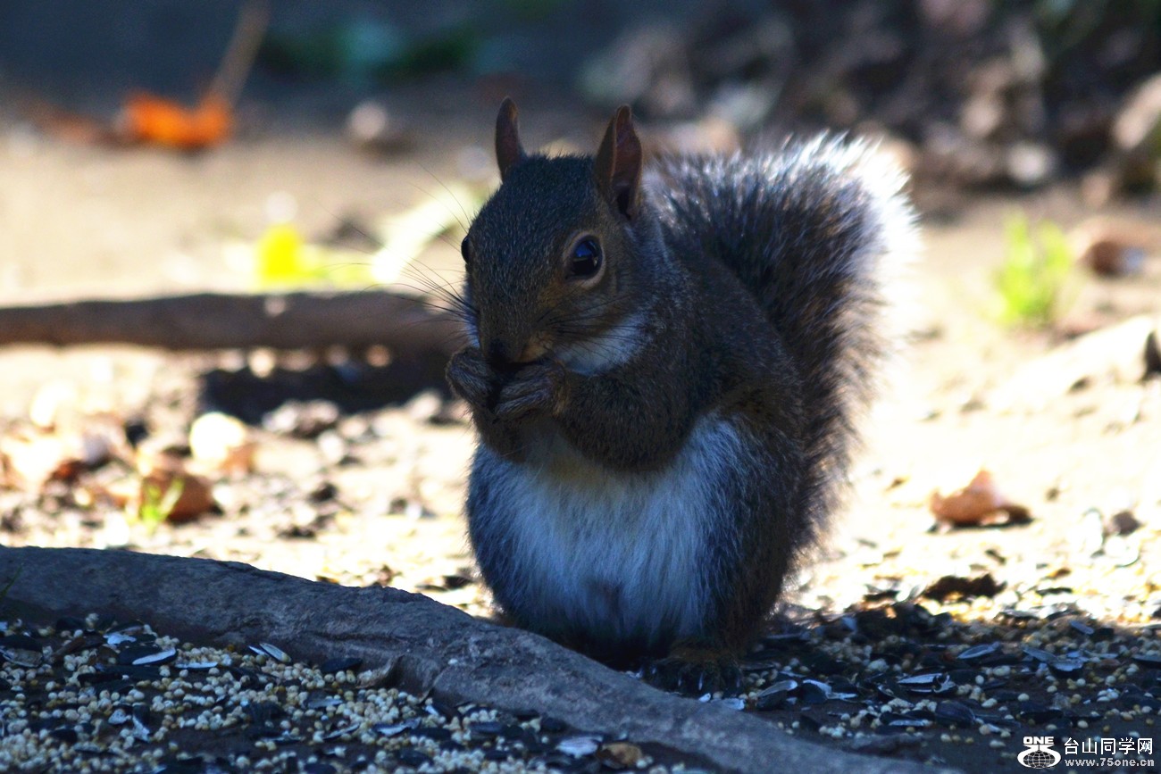 DSC_0023_9.jpg