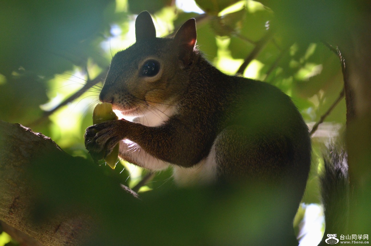 DSC_0141_08.jpg