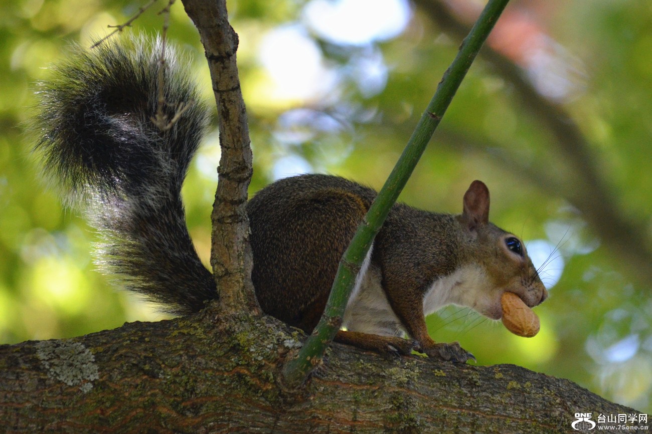DSC_0220_24.jpg