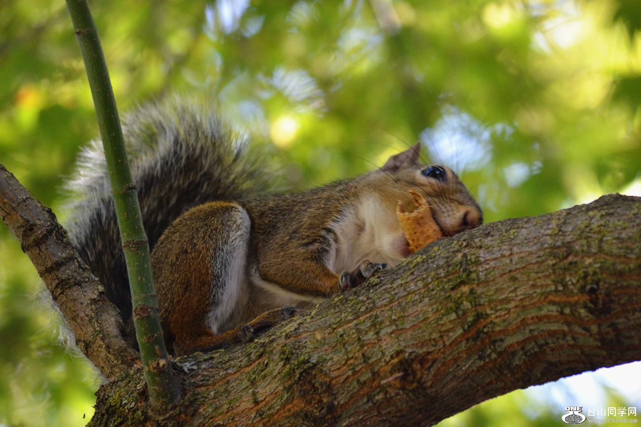 DSC_0236_26.jpg