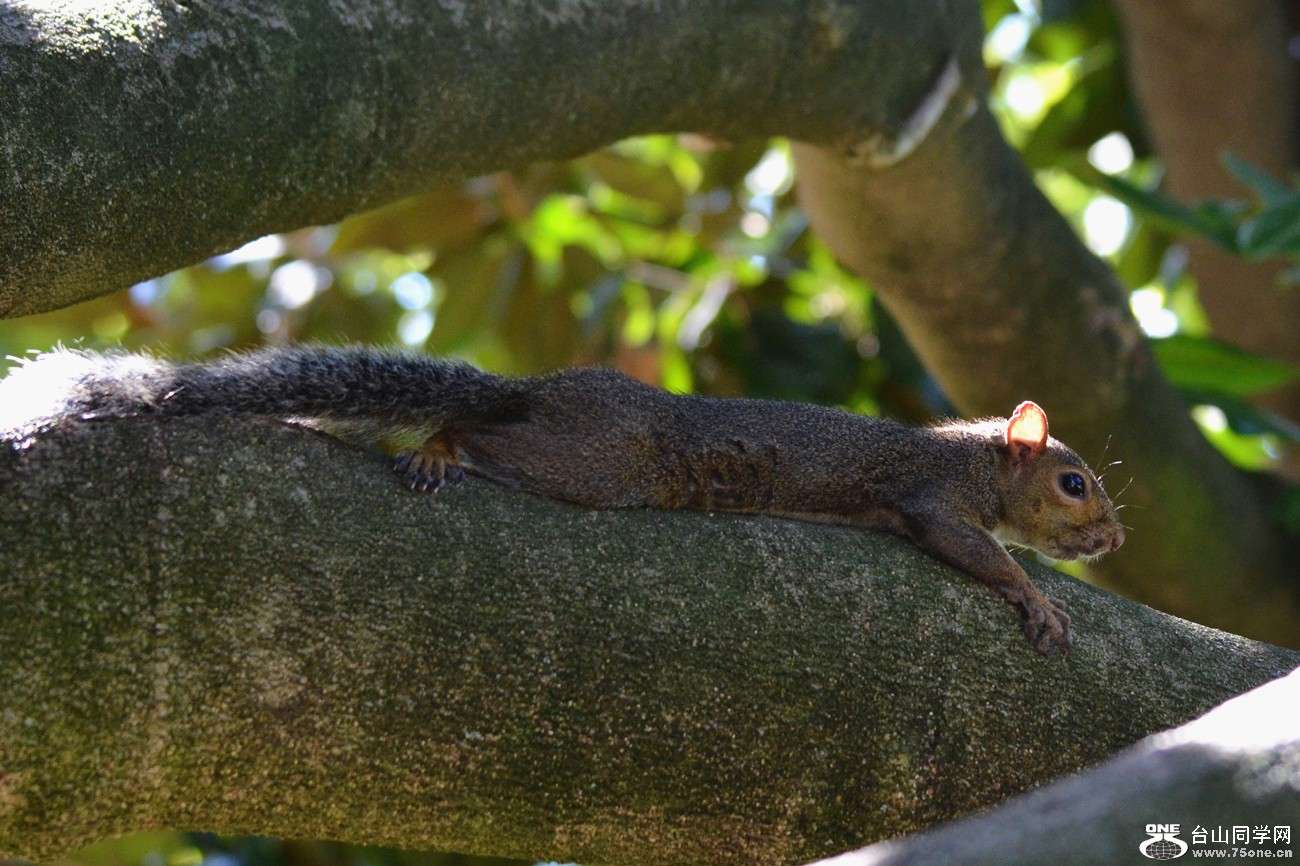 DSC_0907_29.jpg