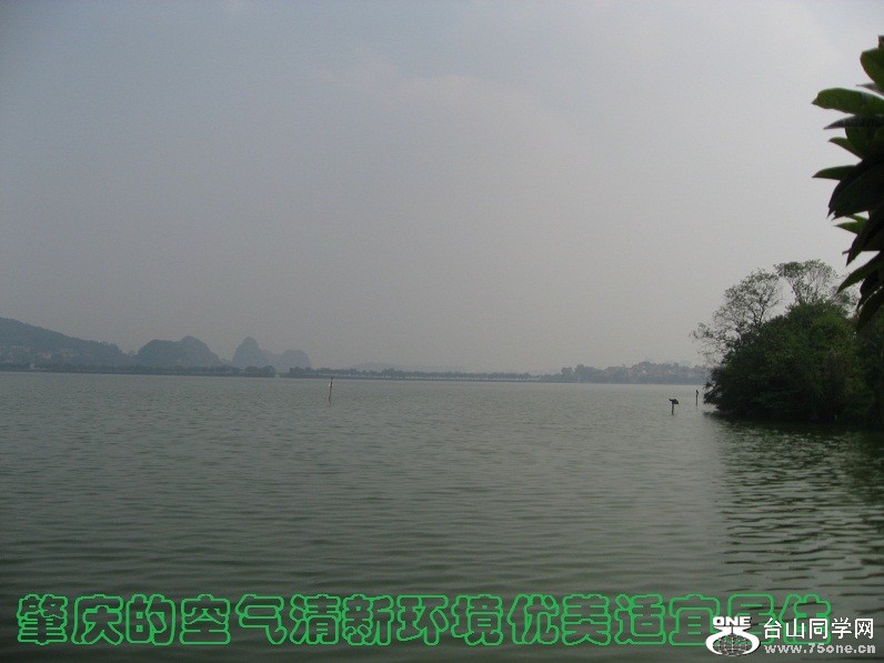 IMG_0813.JPG