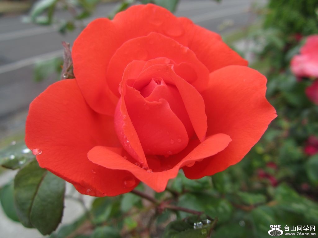 19_6229_a8d9299feaaf7ad.jpg