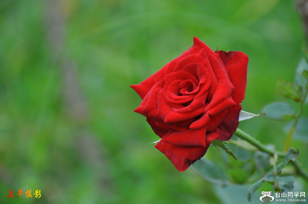 DSC_3969.JPG