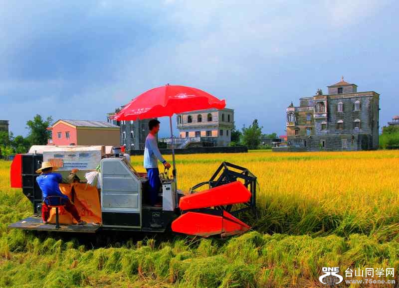 ɽʯո2012.11. 179.jpg