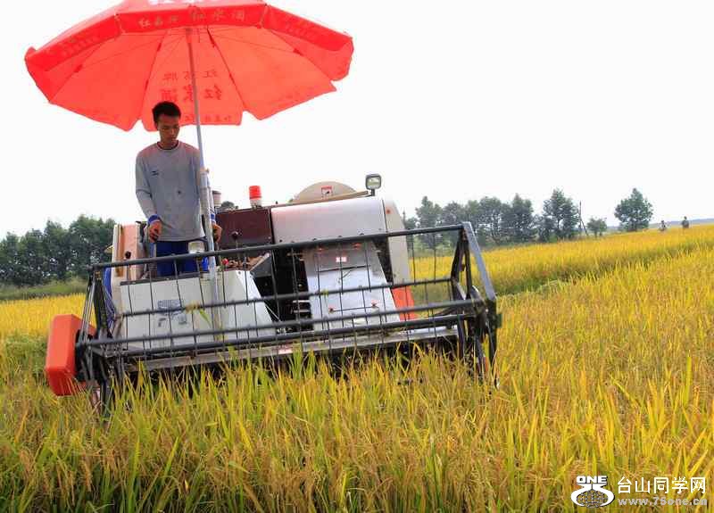 ɽʯո2012.11. 141.jpg