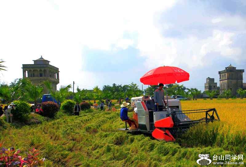 ɽʯո2012.11. 175.jpg