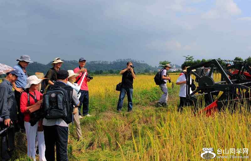 ɽʯո2012.11. 138.jpg