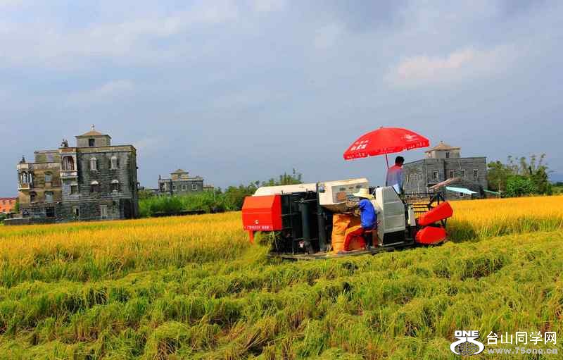 ɽʯո2012.11. 185.jpg