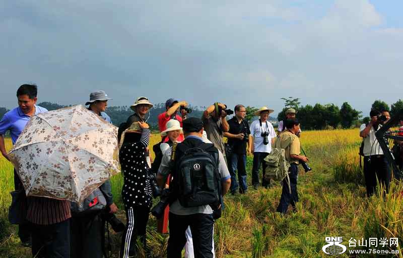 ɽʯո2012.11. 137.jpg