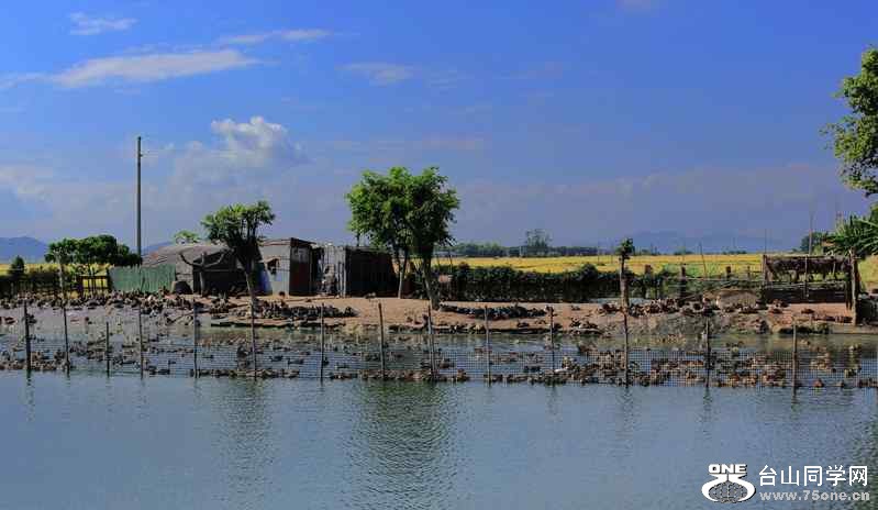 ɽʯո2012.11. 221.jpg