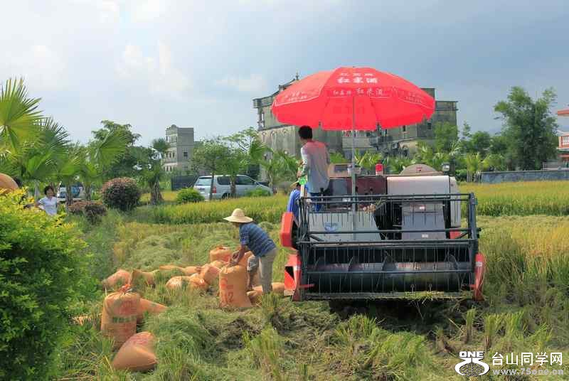 ɽʯո2012.11. 190.jpg