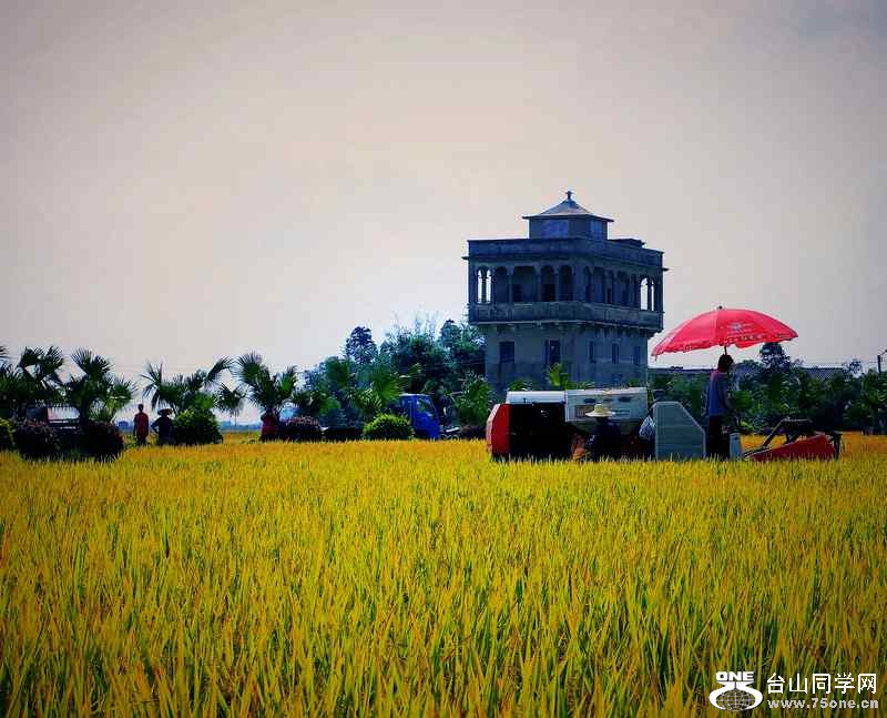  ɽʯո2012.11. 170.jpg