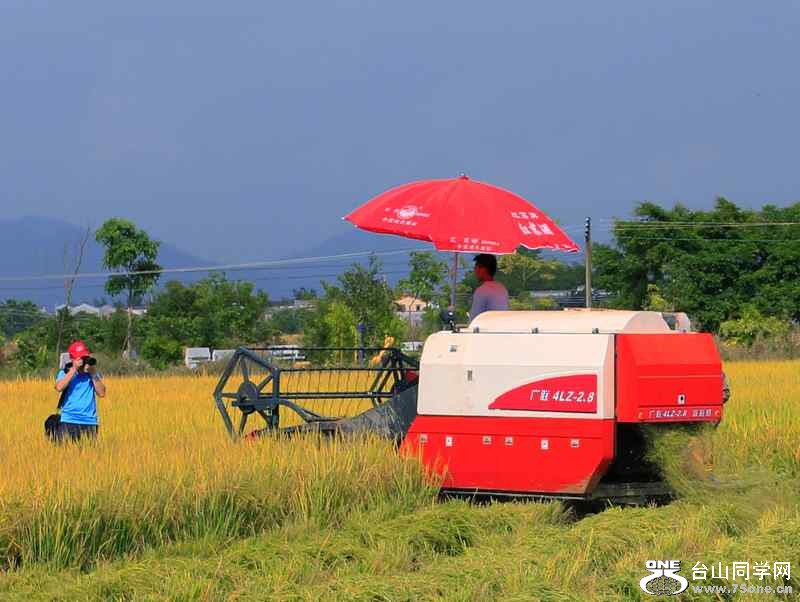 ɽʯո2012.11. 186.jpg