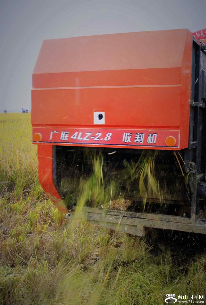 ɽʯո2012.11. 144.jpg