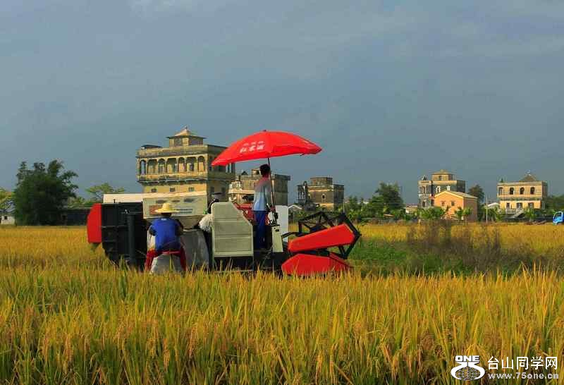 ɽʯո2012.11. 079.jpg