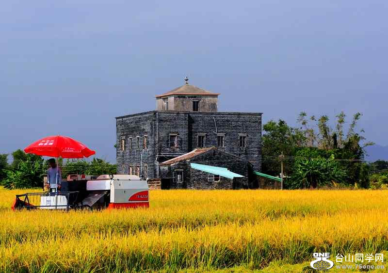 ɽʯո2012.11. 188.jpg