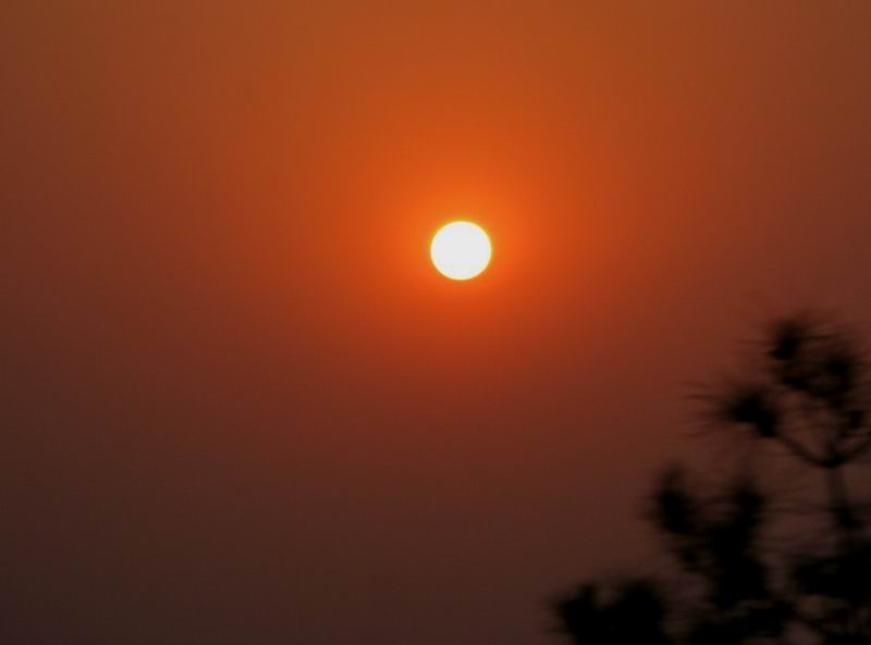 IMG_2617.JPG