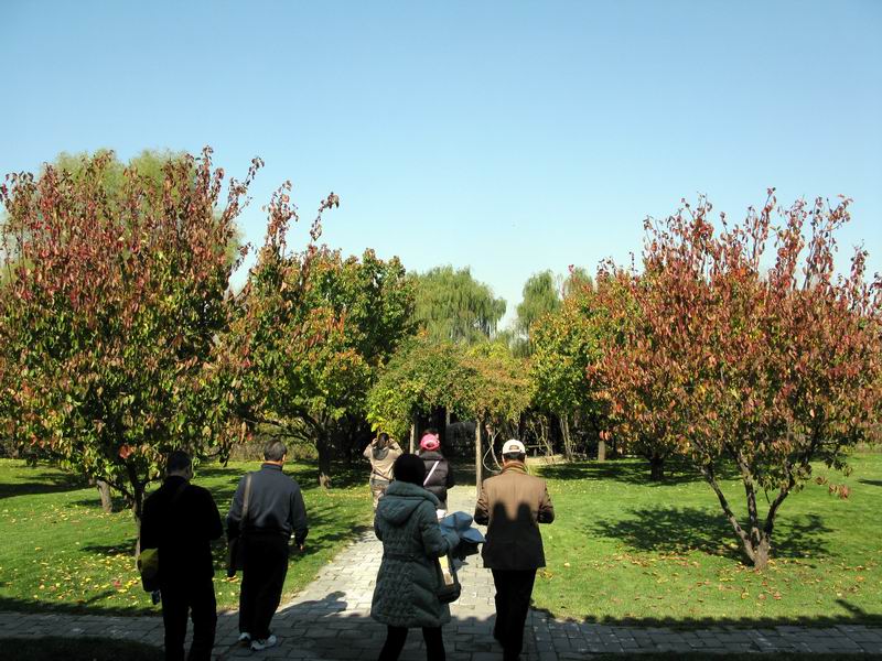 IMG_1395.JPG